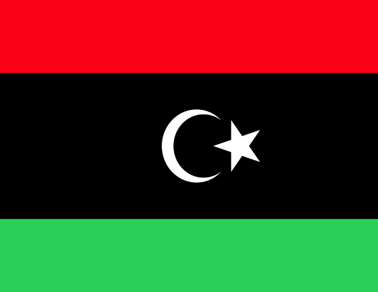 Saudi Visa Services in Libya