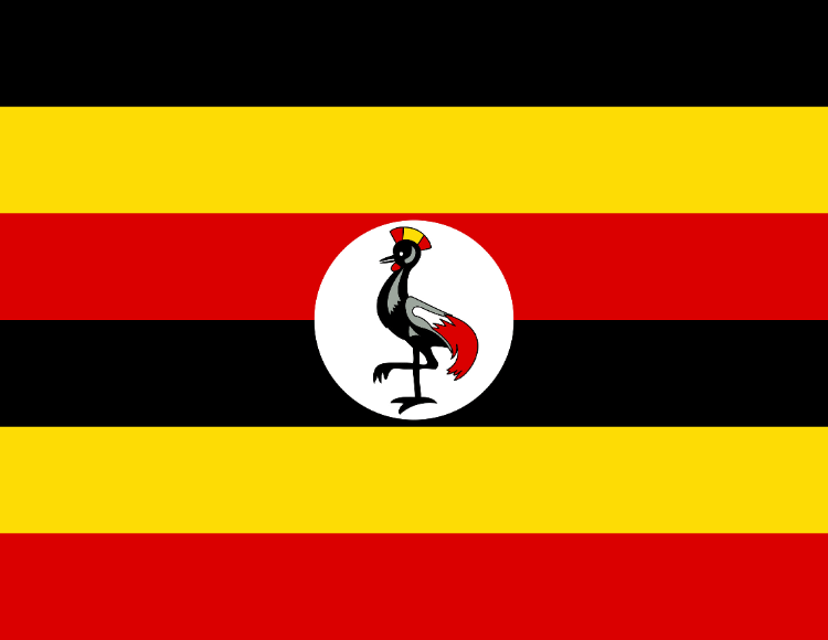 Saudi Visa Services in Uganda