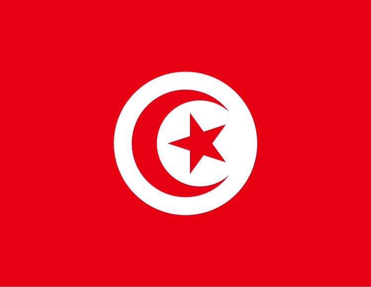 Saudi Visa Agency In Tunisia